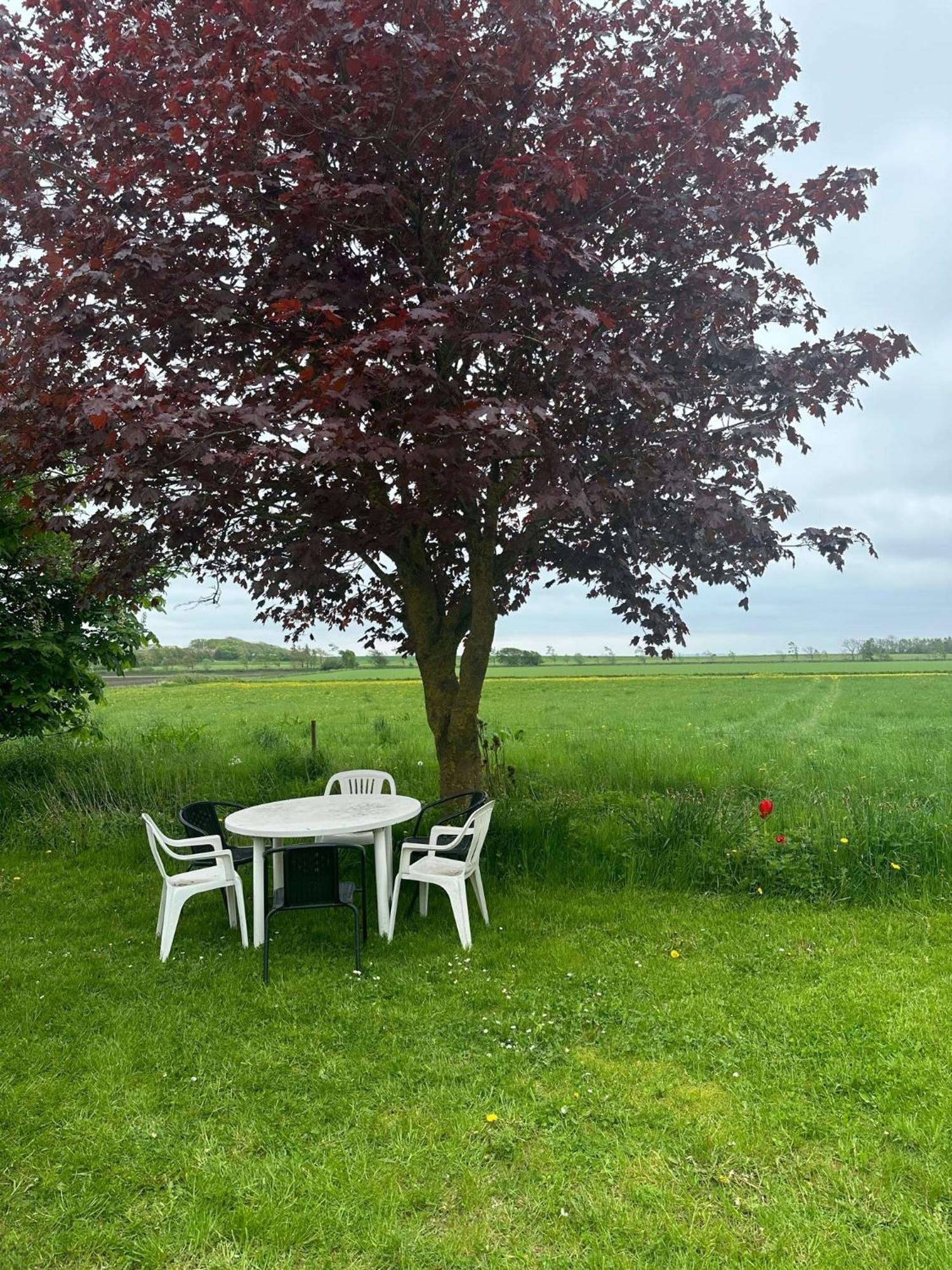 Pa Mors Holiday home Oster Assels